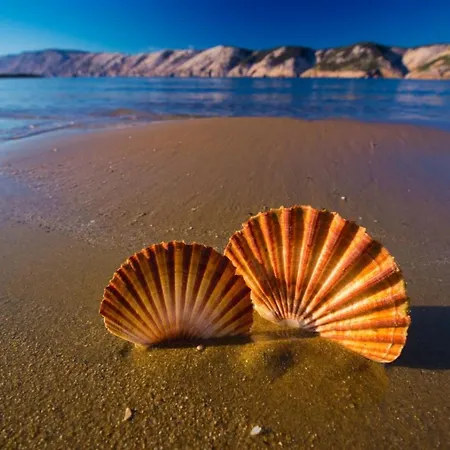 Apartments Lopar דירה לופאר