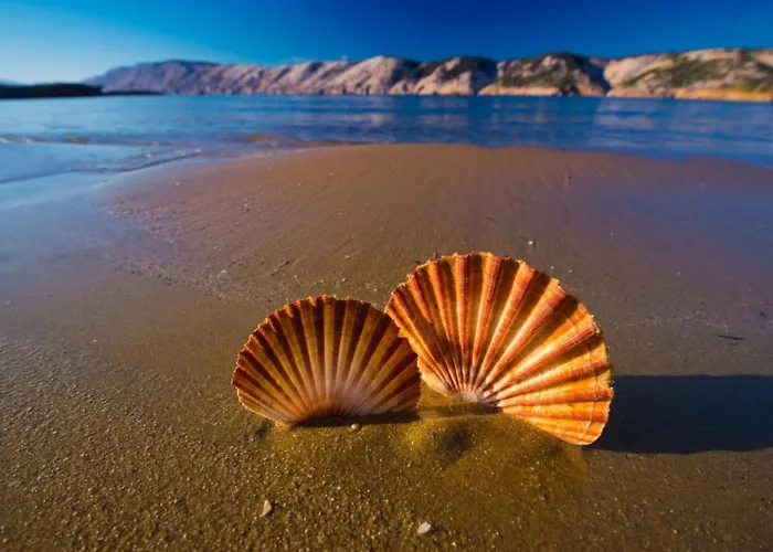 Apartments Lopar 아파트 로파르