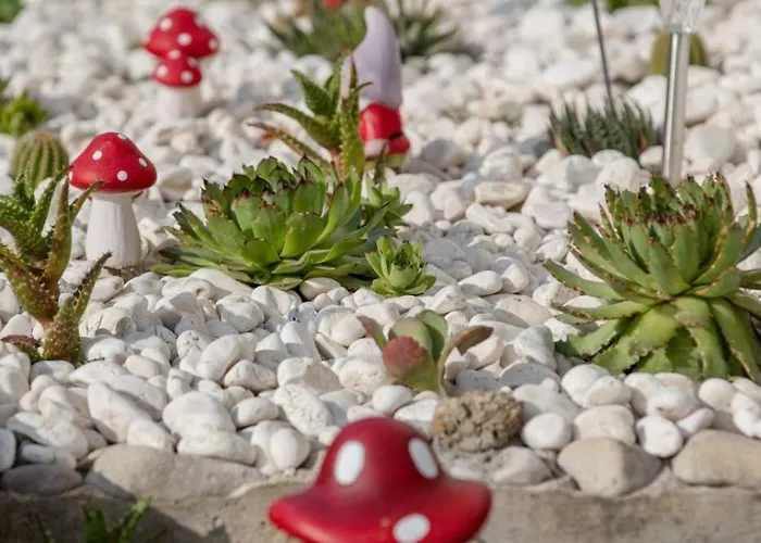 Apartments Lopar 아파트 *