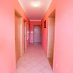 Apartments Lopar