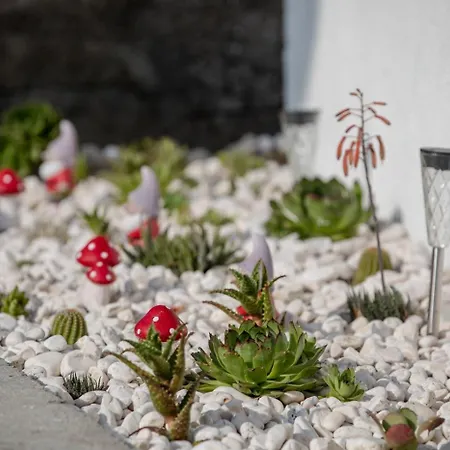 Apartments Lopar Apartment